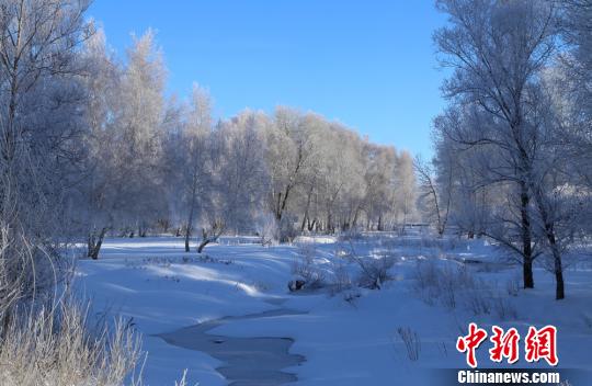 “醉美雪樺”及當(dāng)?shù)孛袼壮蔀槎颈┞糜蔚牧咙c(diǎn)。　哈巴河縣委宣傳部供圖 攝